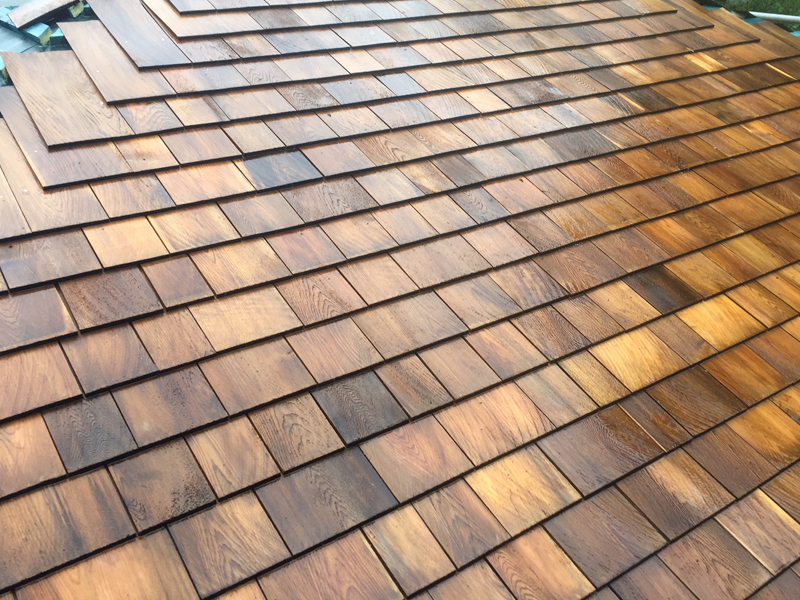 Cedar Shingle